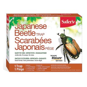 JAPANESE BEETLE TRAP SAFERS