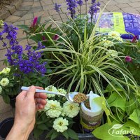 Plant & Tree Fertilizers
